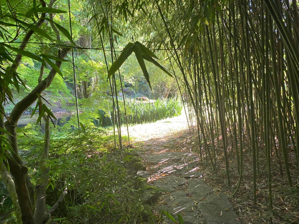 Les Moulins Du Duc Ecolodge มูเอลอง-ซูร์-แมร์ ภายนอก รูปภาพ